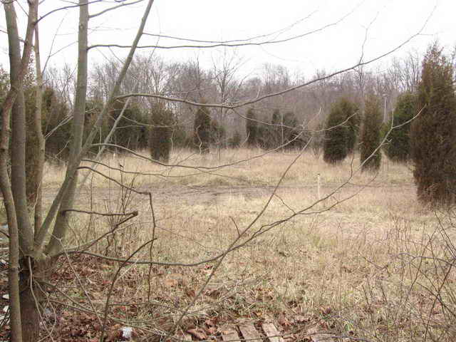 Lake Drive-In - 2006 Photo